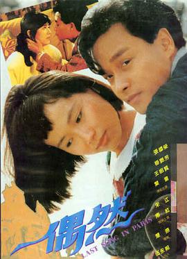 孤注一掷 电影 2023 申奥